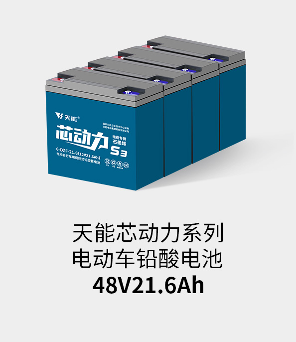 MG电子电池48v20ah