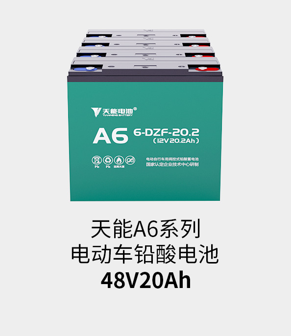 MG电子电池48v20ah