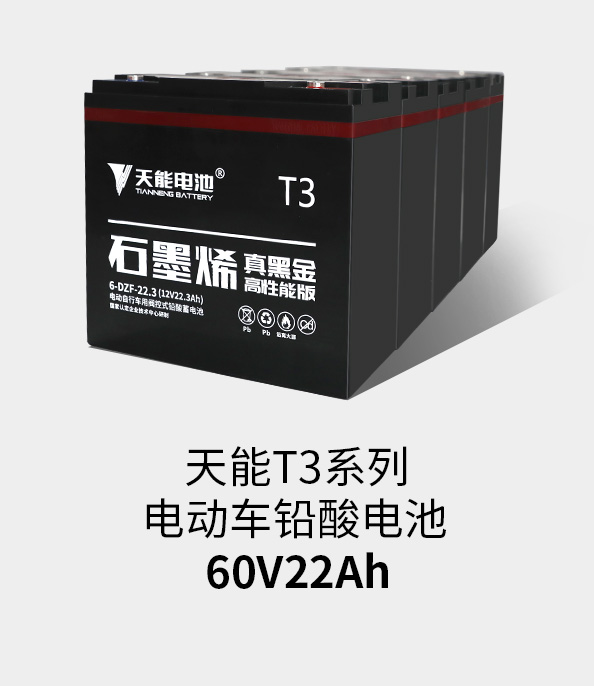 MG电子T3系列60v22ah