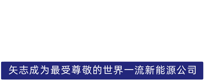 MG电子股份